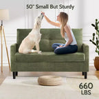 50 petits canapés deux places, petits canapés pour salon, chambre, bureau, causeuse confortable avec coussin à ressorts à assise profonde